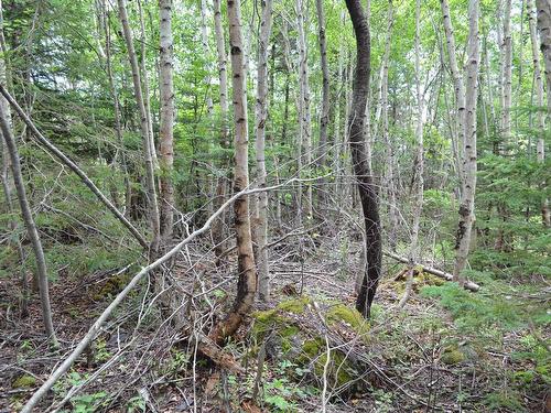 Lot 2 Portion Of 60169216 Blue Rocks Road, Garden Lots, NS 