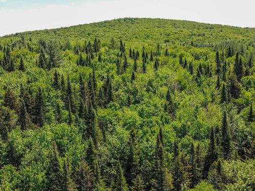 Overall view - 233 Ch. Du Lac-Sept-Îles S., Saint-Raymond, QC - Outdoor With View