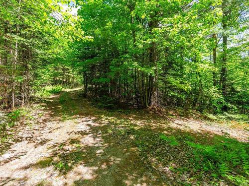 Land/Lot - 233 Ch. Du Lac-Sept-Îles S., Saint-Raymond, QC - Outdoor