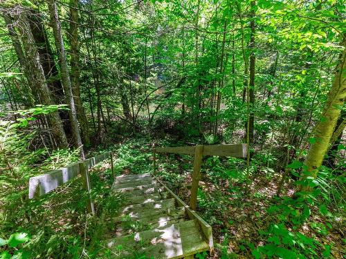 Land/Lot - 233 Ch. Du Lac-Sept-Îles S., Saint-Raymond, QC - Outdoor