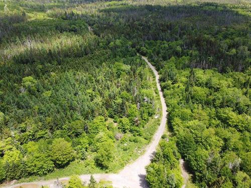 25 Ton Timber Hills Road, Moser River, NS 