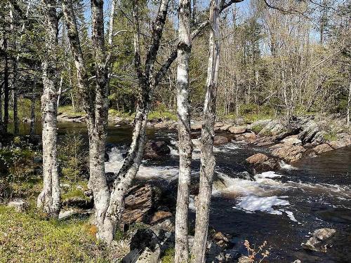 25 Ton Timber Hills Road, Moser River, NS 