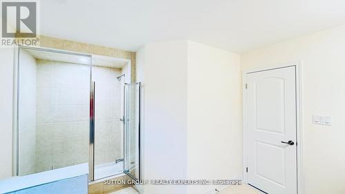 78 Macklin Street, Brantford, ON - Indoor Photo Showing Bathroom