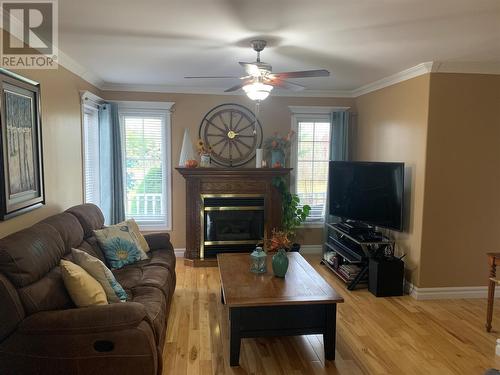 59 Water Street, Embree, NL - Indoor Photo Showing Living Room With Fireplace