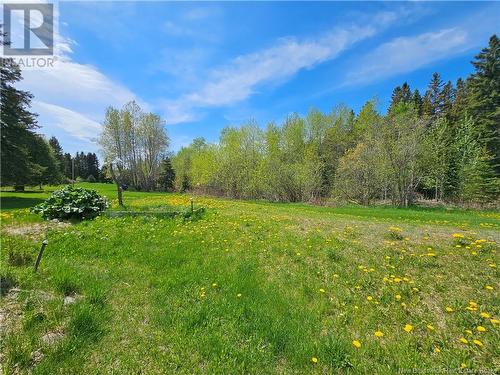 21 Boschert Road, Saint-Quentin, NB - Outdoor With View