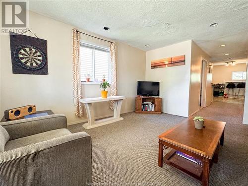 923-25 California Avenue, Windsor, ON - Indoor Photo Showing Living Room