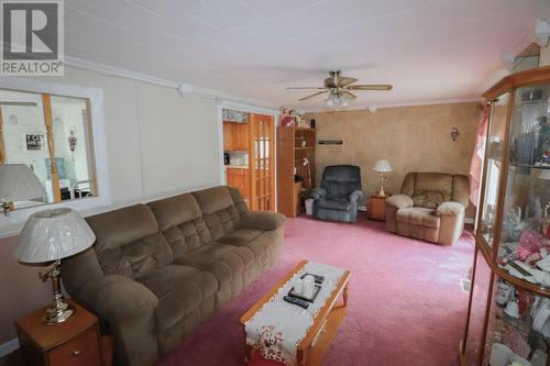 17 Birch Road, Howley, NL - Indoor Photo Showing Living Room