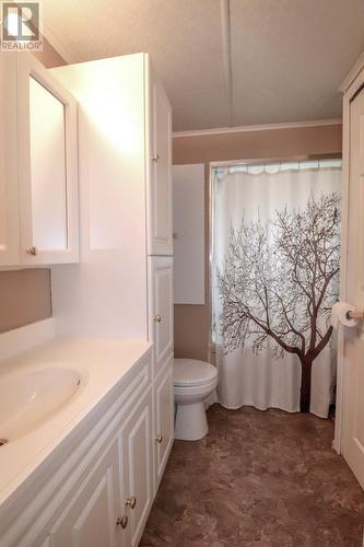 17 Birch Road, Howley, NL - Indoor Photo Showing Bathroom