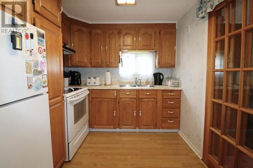 17 Birch Road, Howley, NL - Indoor Photo Showing Kitchen With Double Sink