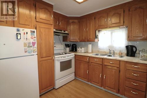 17 Birch Road, Howley, NL - Indoor Photo Showing Kitchen With Double Sink