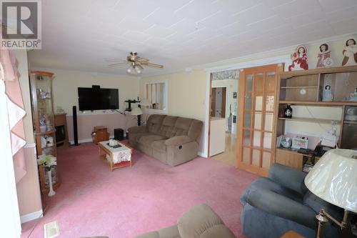 17 Birch Road, Howley, NL - Indoor Photo Showing Living Room