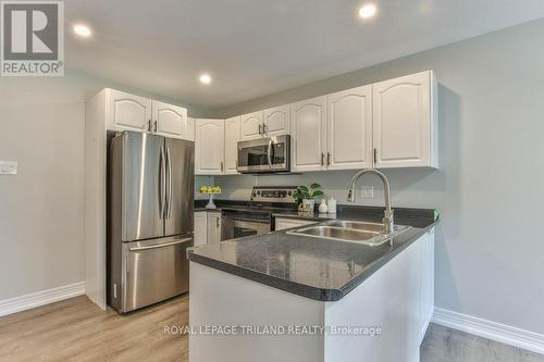 16 Pinehurst Drive, Thames Centre (Dorchester), ON - Indoor Photo Showing Kitchen With Double Sink