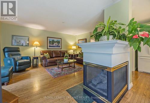 3 - 448 Commissioners Road E, London, ON - Indoor Photo Showing Living Room With Fireplace