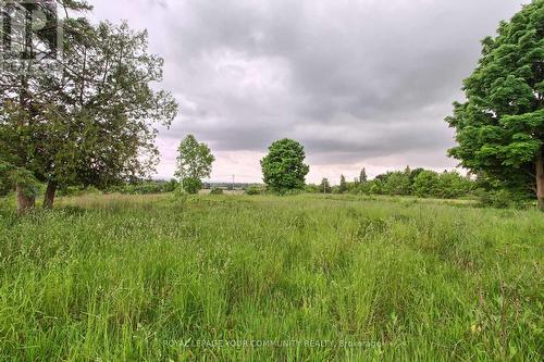 2304 9Th Line, Bradford West Gwillimbury, ON 