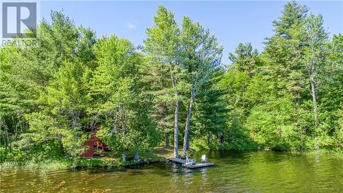 Serene privacy, calming tranquility ... - 2105 Pike Lake Rte 16A Route, Perth, ON - Outdoor