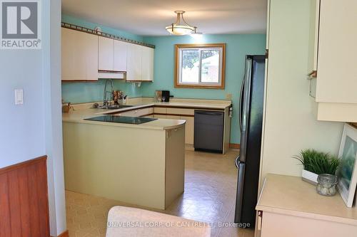 244 Alma Street, St. Thomas, ON - Indoor Photo Showing Kitchen With Double Sink
