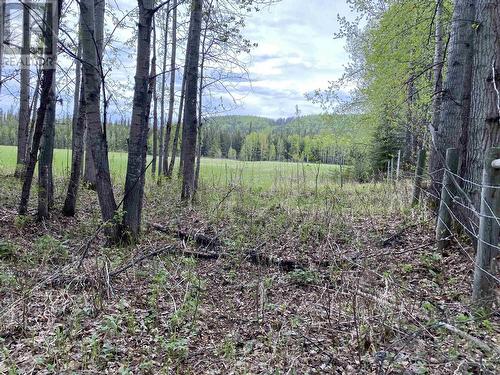 23938 Upper Halfway Road, Fort St. John, BC - Outdoor With View