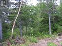 5 Clode Sound Drive, Port Blandford, NL 