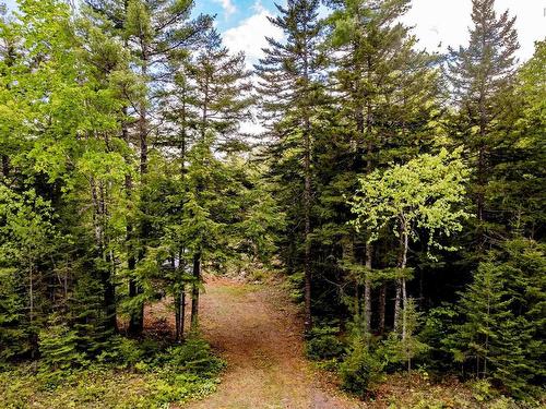 Lot 68 White Tail Pass, Vaughan, NS 