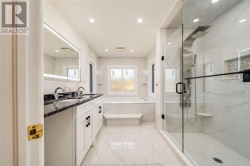 12303 Vickery Lane, Tecumseh, ON - Indoor Photo Showing Bathroom