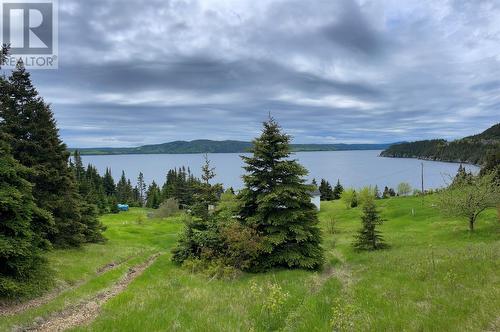 0 Main Road, Lady Cove, NL 