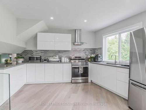 21375 Brock Rd, Georgina, ON - Indoor Photo Showing Kitchen With Upgraded Kitchen