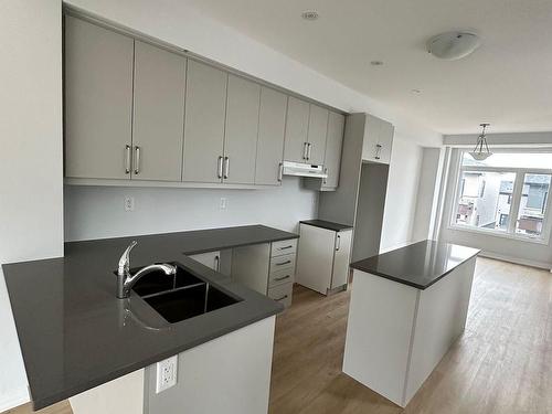 105-155 Equestrian Way, Cambridge, ON - Indoor Photo Showing Kitchen With Double Sink