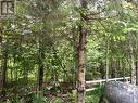 Lot 454 Seguin Crescent, Tiny, ON 