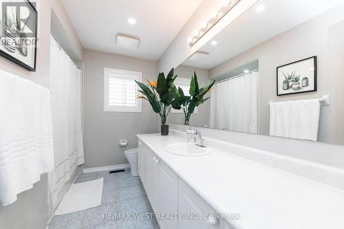 71 Atwood Avenue W, Halton Hills, ON - Indoor Photo Showing Bathroom