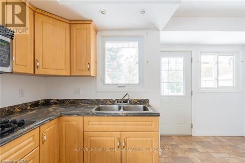 415 Hudson Drive, London, ON - Indoor Photo Showing Kitchen With Double Sink