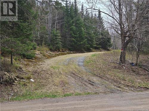 Tbd Ketchum Road, Kingston, NB 