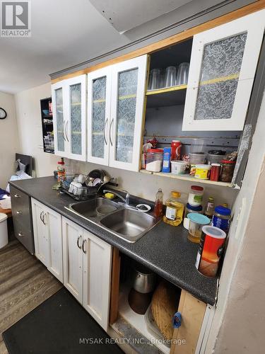 20 Weichel Street, Kitchener, ON - Indoor Photo Showing Kitchen With Double Sink