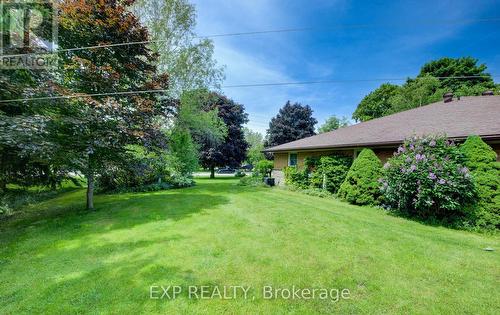 43 George Street S, Minto, ON - Outdoor