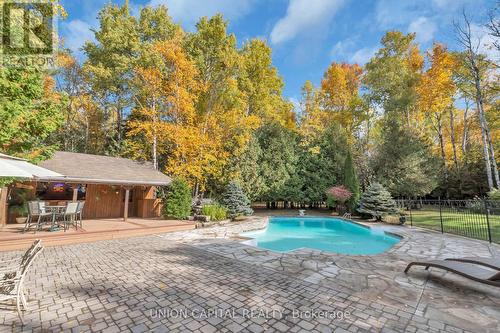 3135 Theatre Road N, Hamilton Township, ON - Outdoor With In Ground Pool With Deck Patio Veranda With Backyard