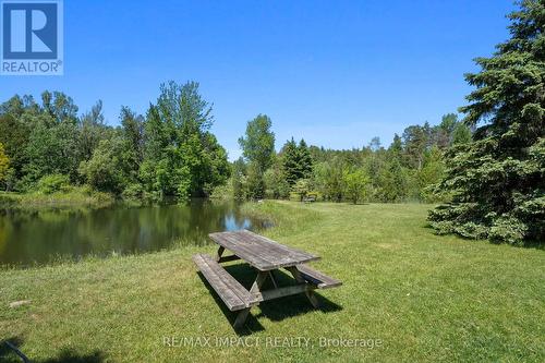 3686 Concession 4 Road, Clarington, ON - Outdoor With View