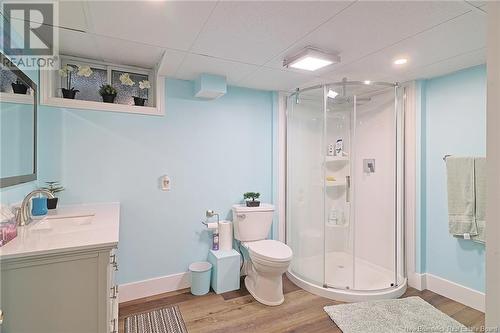 18 Bird Street, Nackawic, NB - Indoor Photo Showing Bathroom