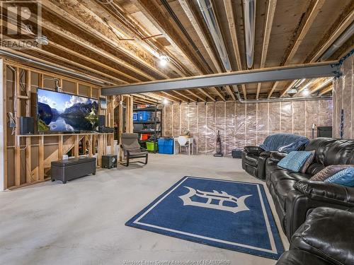 909A Concession 2, Amherstburg, ON - Indoor Photo Showing Basement