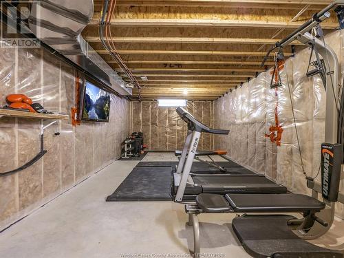 909A Concession 2, Amherstburg, ON - Indoor Photo Showing Basement