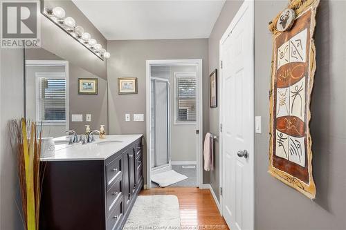 420 Victory Street, Lasalle, ON - Indoor Photo Showing Bathroom