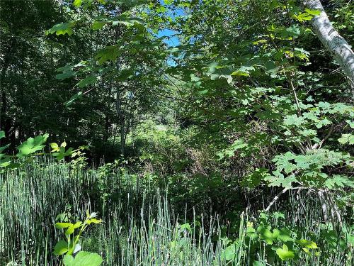 Lot A-375 Horne Lake Rd, Qualicum Beach, BC 