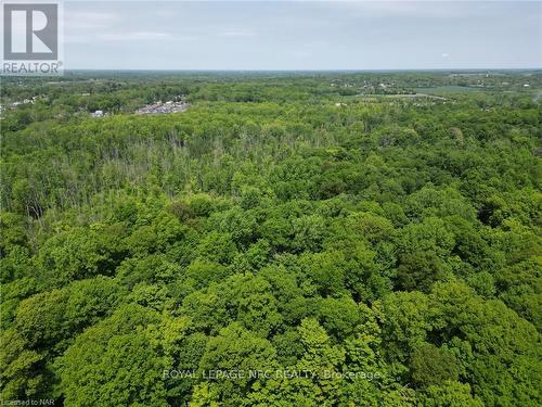 9 Sassafras Row, Fort Erie, ON - Outdoor With View
