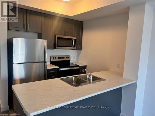 813 - 450 Dundas Street E, Hamilton, ON - Indoor Photo Showing Kitchen With Double Sink