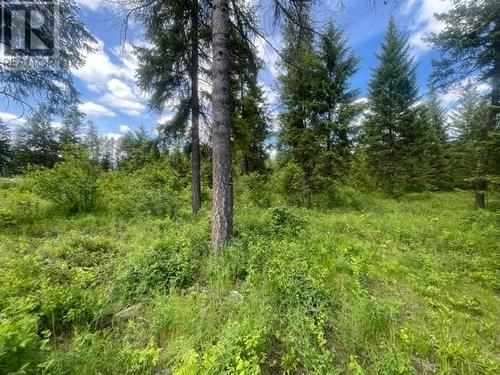 Lot 16 Caitlin Road, Christina Lake, BC 