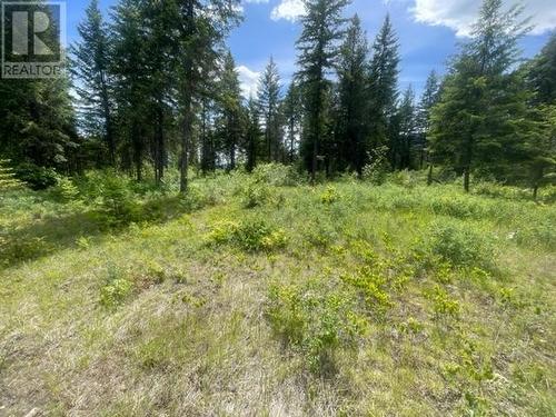 Lot 16 Caitlin Road, Christina Lake, BC 