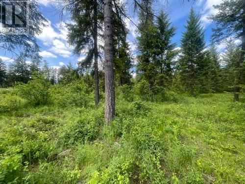 Lot 16 Caitlin Road, Christina Lake, BC 