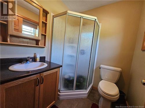 520 Route 385, Lorne, NB - Indoor Photo Showing Bathroom