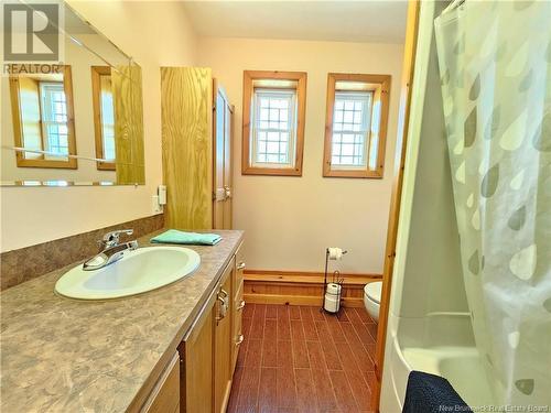 520 Route 385, Lorne, NB - Indoor Photo Showing Bathroom