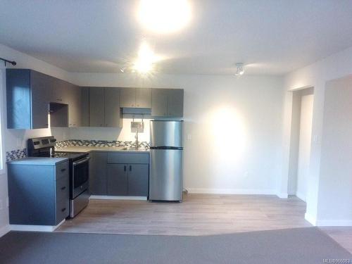 1 - 6-68 Stanley Rd, Lake Cowichan, BC - Indoor Photo Showing Kitchen