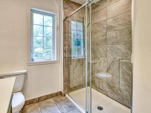 Salle de bains - 1520Z Ch. De L'Avalanche, Saint-Adolphe-D'Howard, QC - Indoor Photo Showing Bathroom