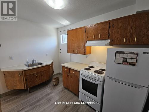 3Fl 4Xx E Columbia, New Westminster, BC - Indoor Photo Showing Kitchen